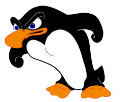 Melbourne SEO Services Angry Penguin 