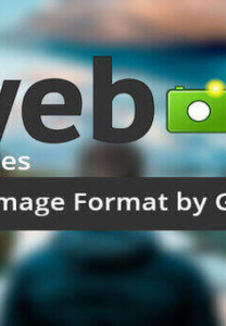 Using The WebP Image Format to Speed Up Websites
